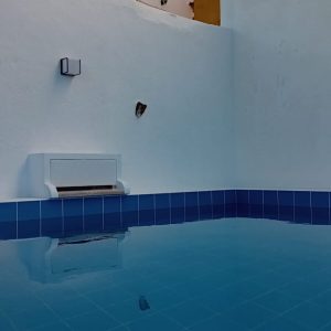 Casa da Pedra Branca - Alojamento em Constância